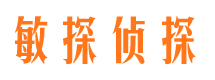 望花市侦探调查公司